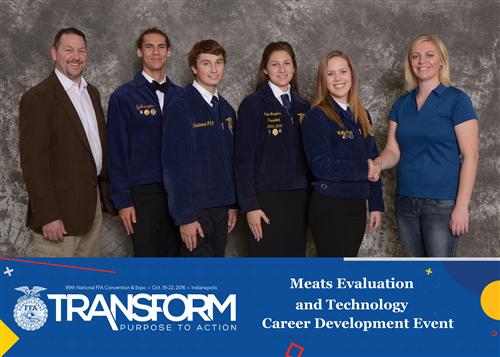 Meats Evaluation 2016 